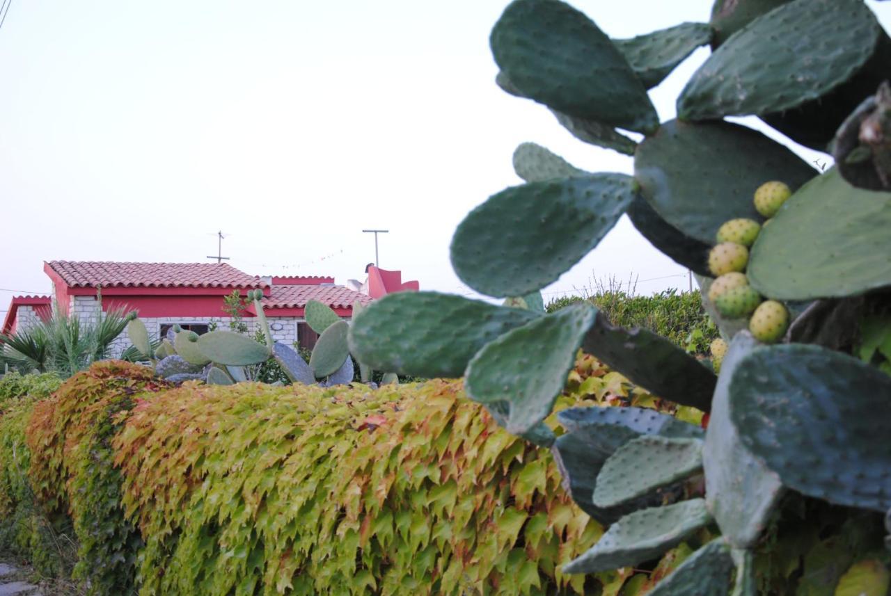 Casa Lavinia Βίλα Pachino Εξωτερικό φωτογραφία