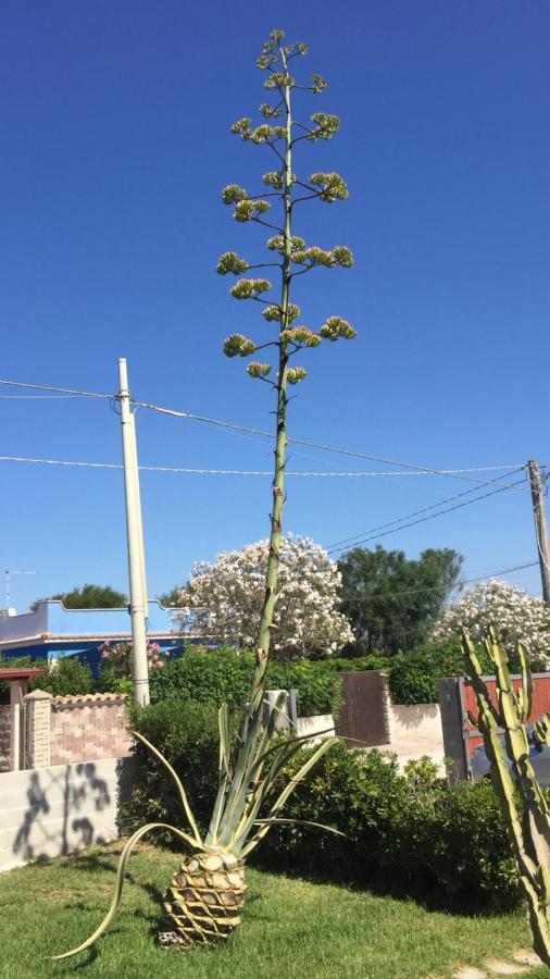 Casa Lavinia Βίλα Pachino Εξωτερικό φωτογραφία